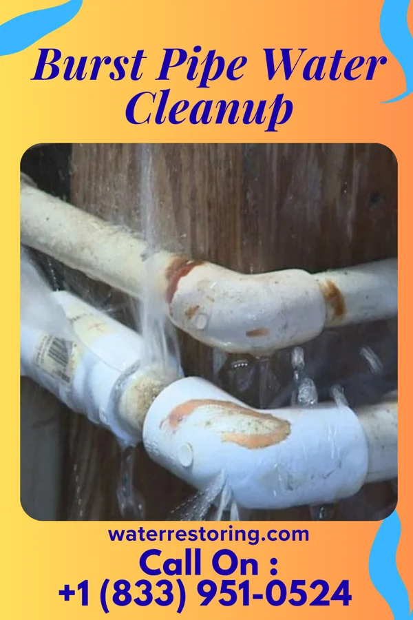 Burst Pipe Water Cleanup in Osawatomie, KS