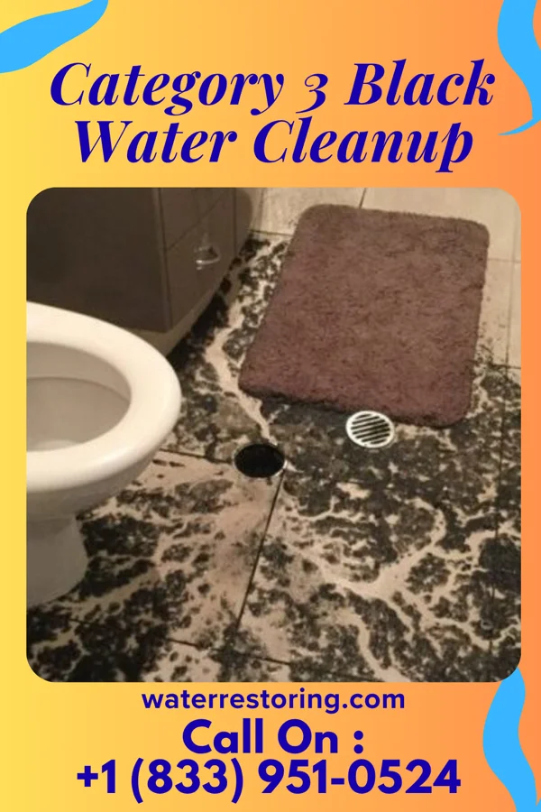 Category 3 Black Water Cleanup in Osawatomie, KS