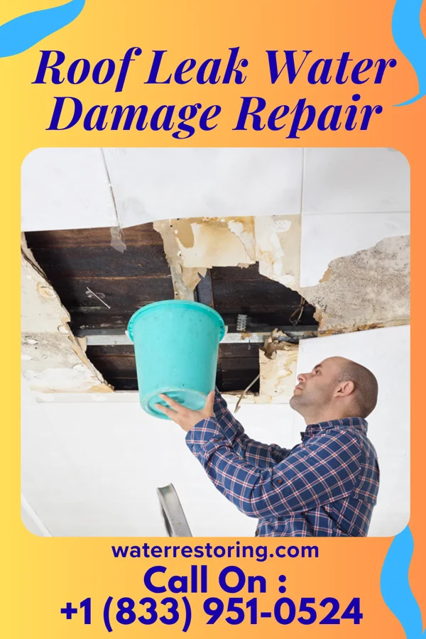 Roof Leak Water Damage Repair in Osawatomie, KS
