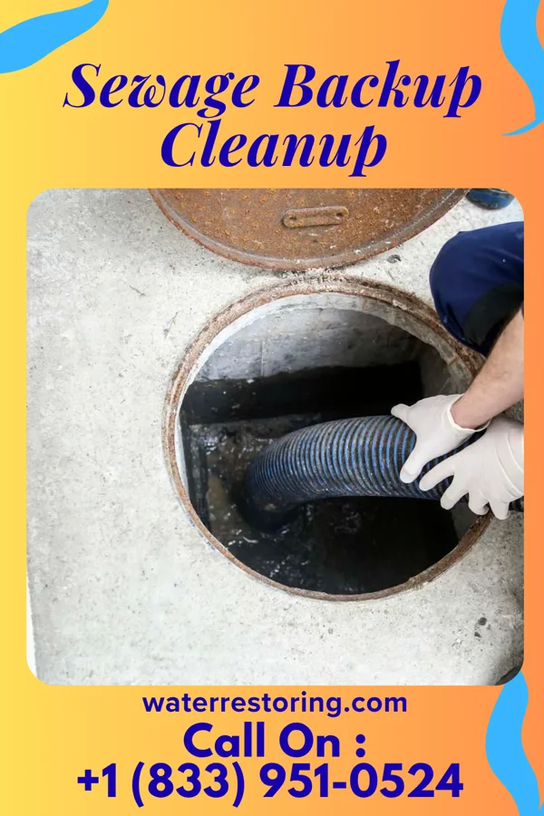 Sewage Backup Cleanup in Osawatomie, KS
