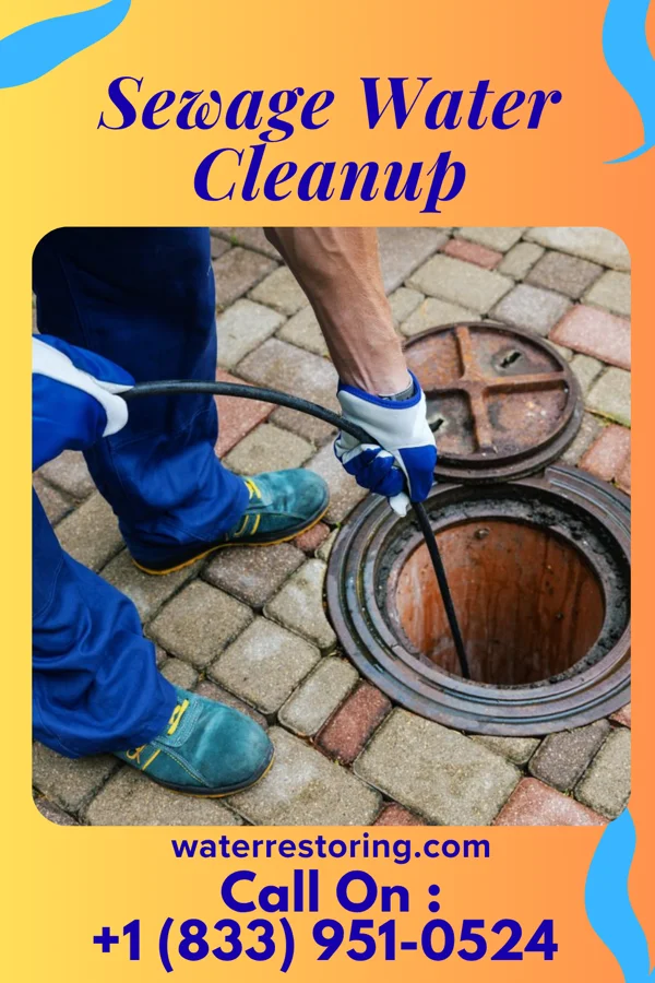 Sewage Water Cleanup in Osawatomie, KS