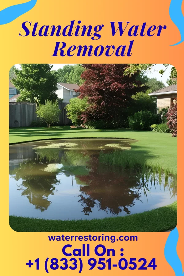 Standing Water Removal in Osawatomie, KS